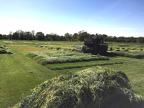 Silage